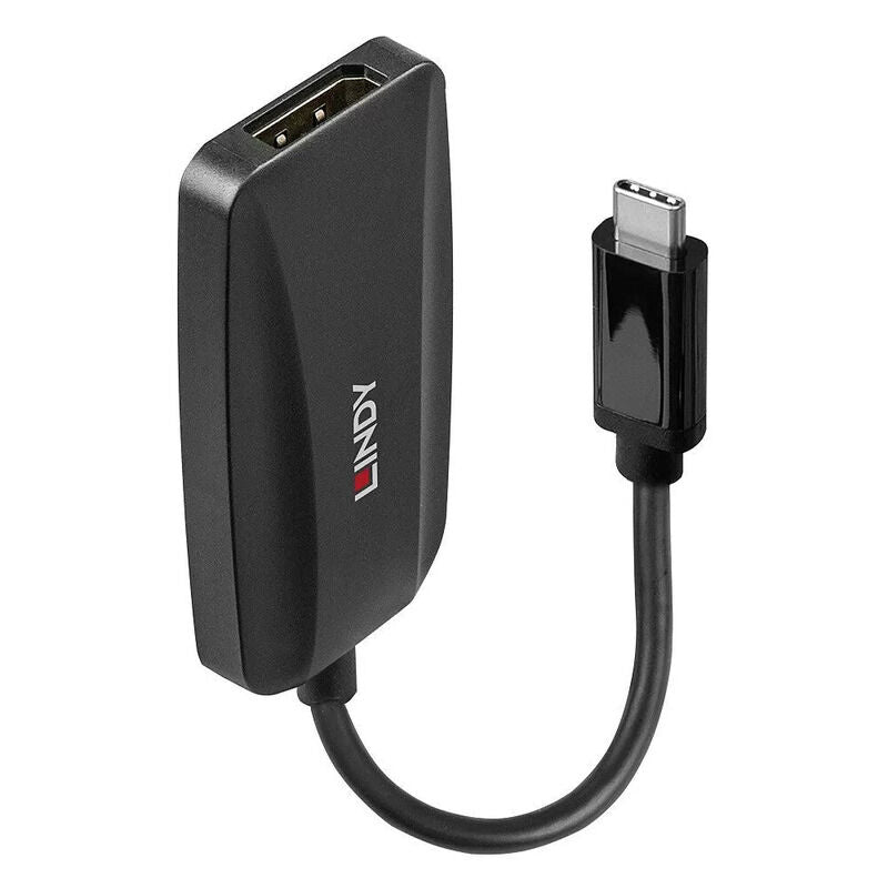 Lindy USB to DP Converter Lindy