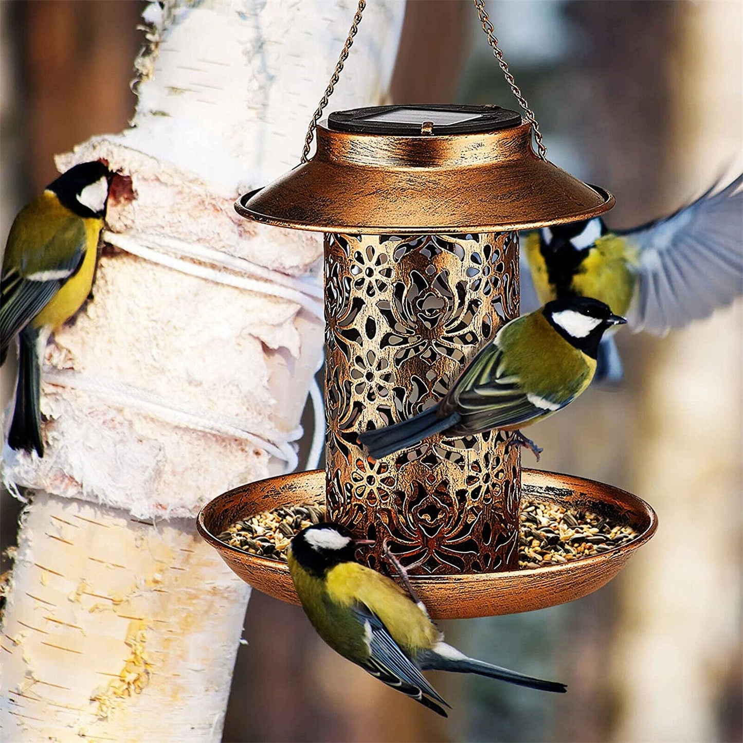 Solar Bird Seed Feeder Hanging Outdoor Garden Tristar Online