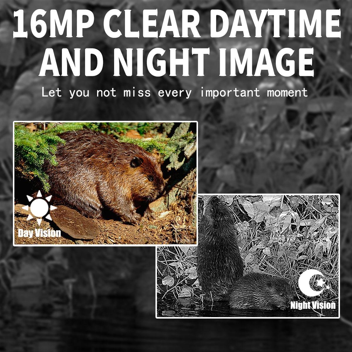 16mp Outdoor Hunting Camera with Night Vision and Motion Activation Tristar Online