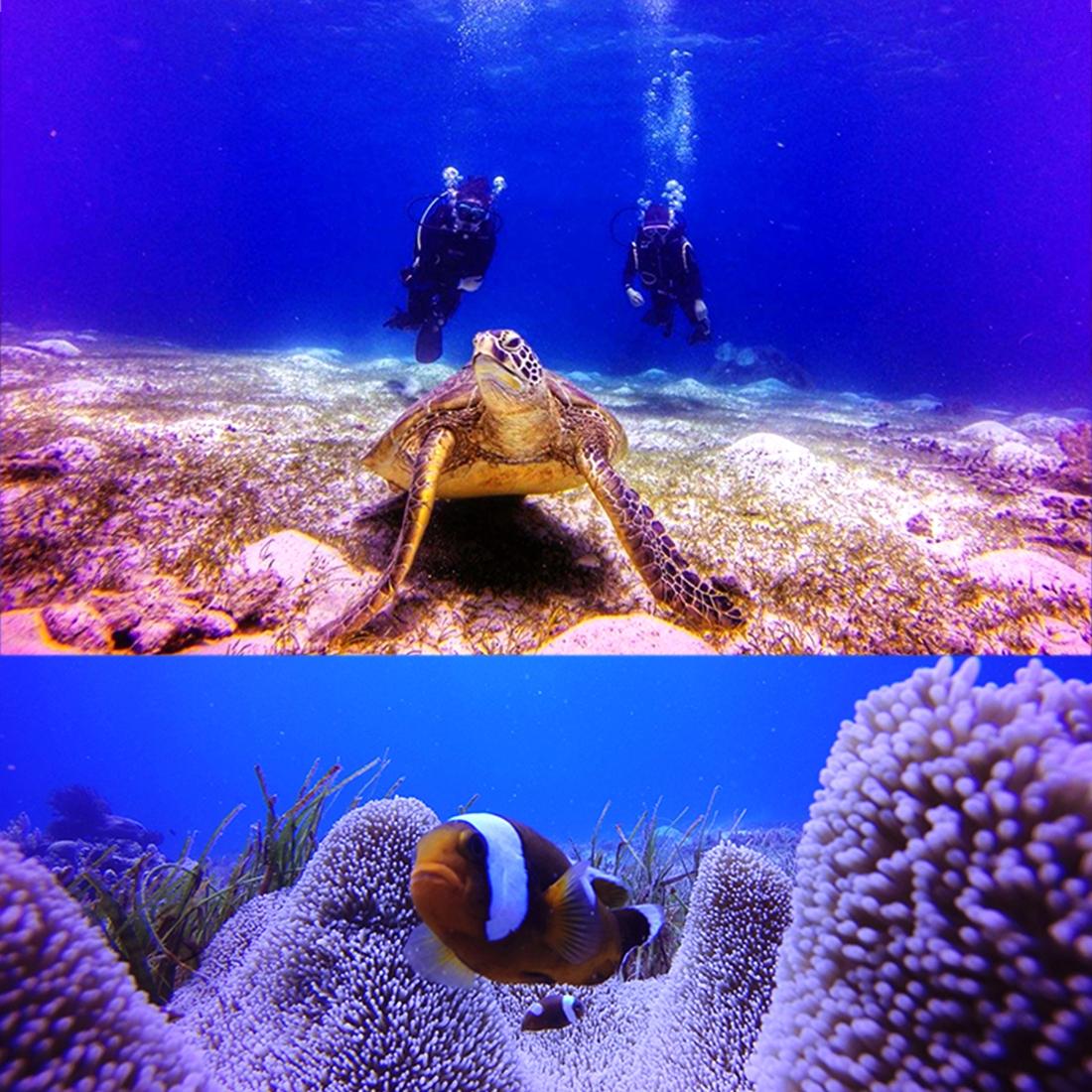 Waterproof Protective Case for Gopro Hero5 - 30m Depth Tristar Online