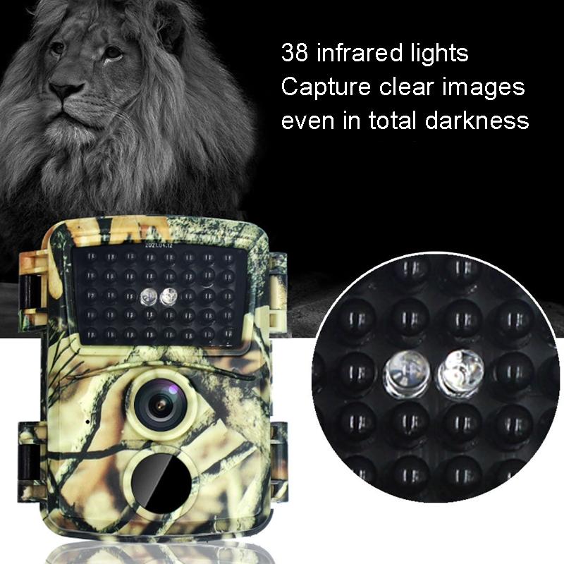 20mp Hd Infrared Hunting Camera with 38 Ir Lights Tristar Online