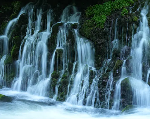 Sony FE 70-200 mm f/4 Macro G OSS II — Telephoto Zoom Lens SONY