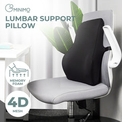 GOMINIMO Memory Foam Lumbar Support Pillow with Adjustable Dual Strap (Black) GO-LSP-101-JYM Tristar Online