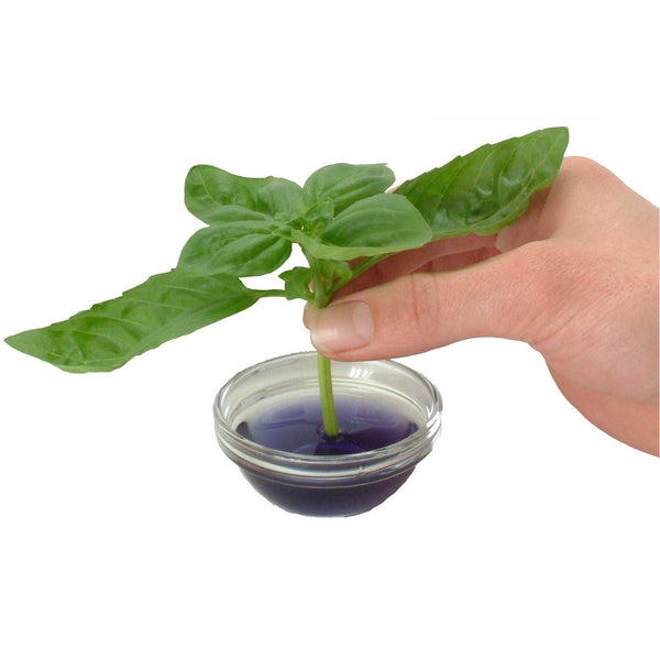 50ml Clonex Rooting Hormone Purple Gel Propagation Clone Plant Growth Technology Tristar Online