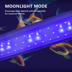 Dynamic Power 2 Set 6W Aquarium Blue White LED Light for Tank 30-50cm Tristar Online