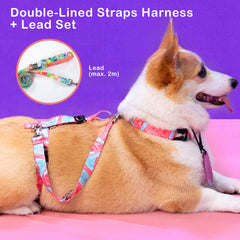 Banhamsisun L Dog Double-Lined Straps Harness and Lead Set Leash Adjustable No Pull Tristar Online