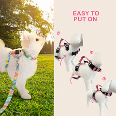 Banhamsisun M Dog Double-Lined Straps Harness and Lead Set Leash Adjustable No Pull Tristar Online