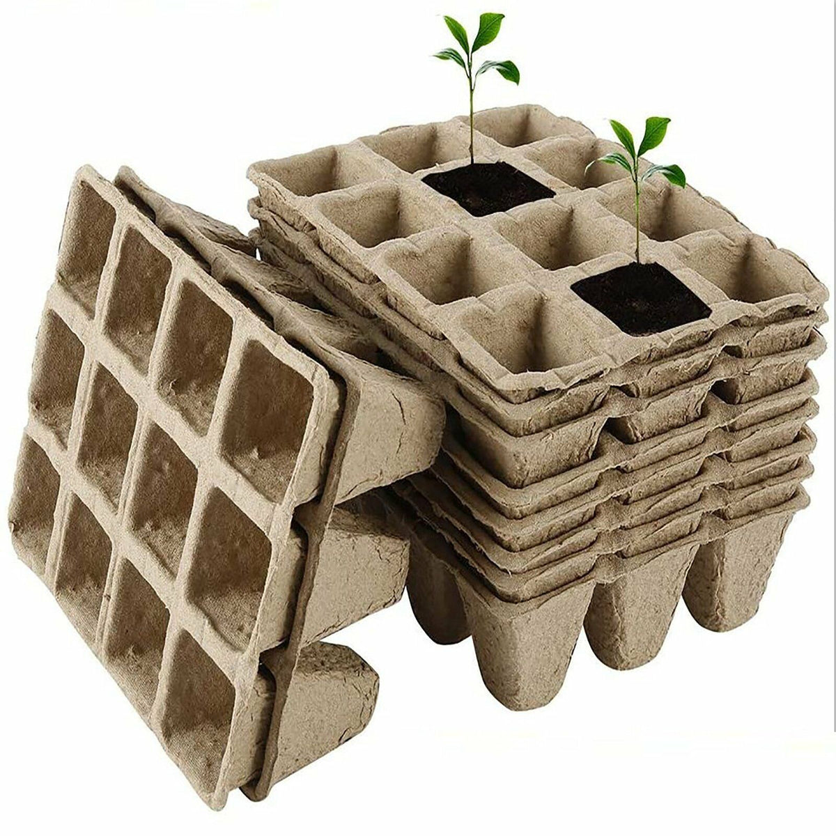 10pcs Biodegradable Seedling Trays 12-Hole Garden Starter Tristar Online