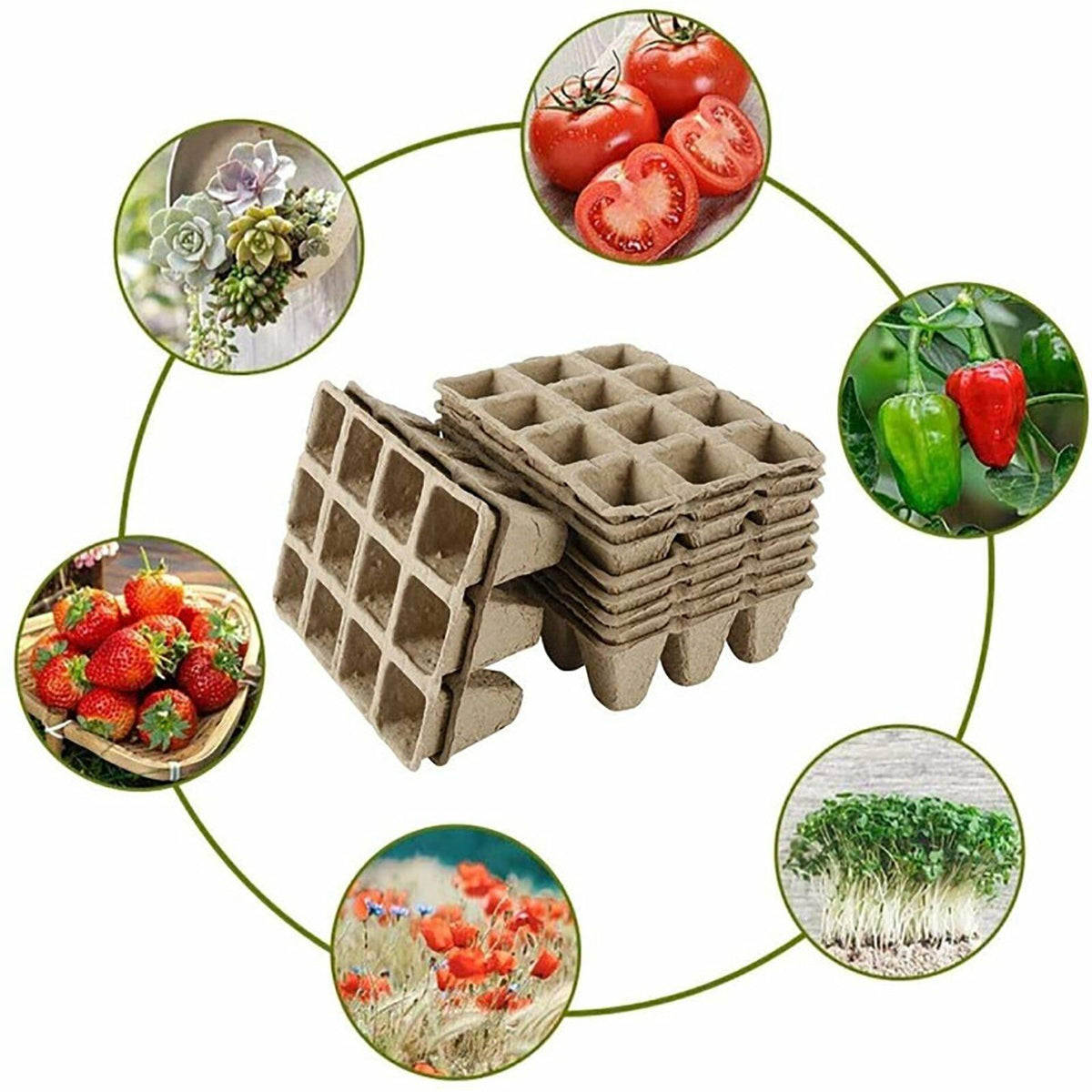 10pcs Biodegradable Seedling Trays 12-Hole Garden Starter Tristar Online