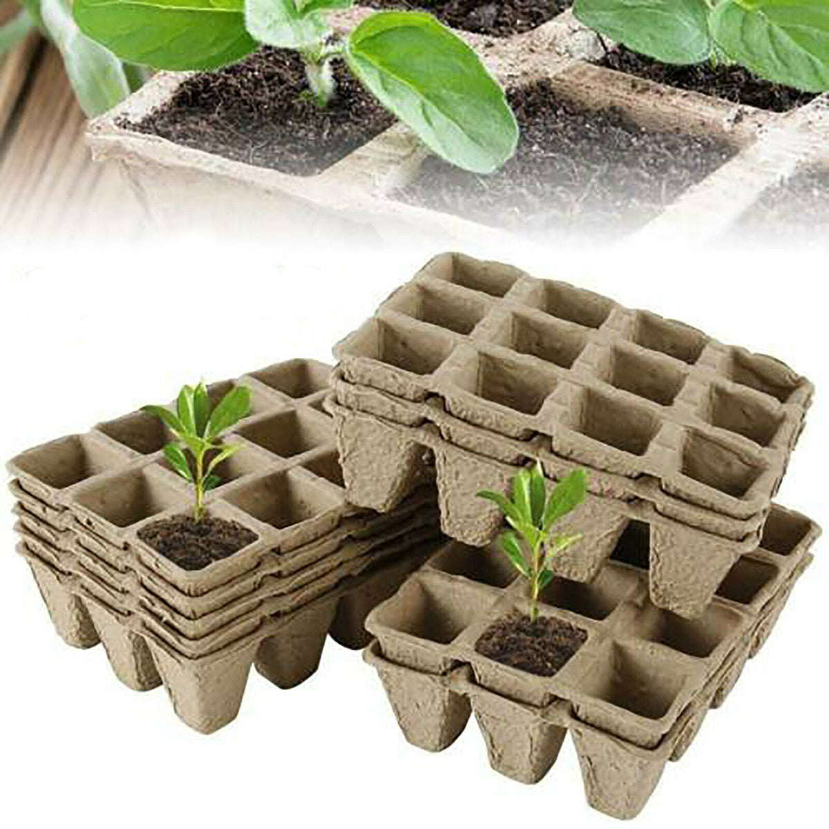 10pcs Biodegradable Seedling Trays 12-Hole Garden Starter Tristar Online