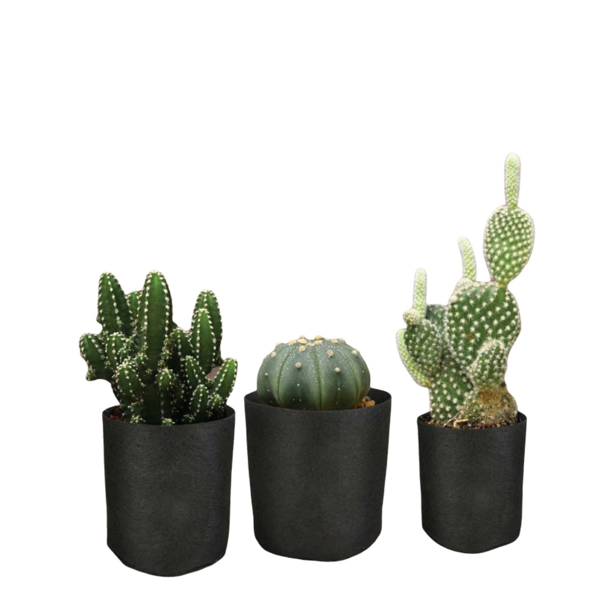 6 Pck 0.6 Gallon Fabric Flower Pots 2.4L Garden Planter Bags Black Felt Root Pouch