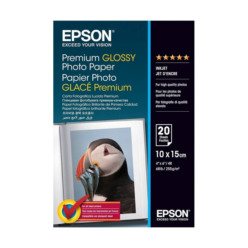 Epson S041706 Premium Glossy Epson
