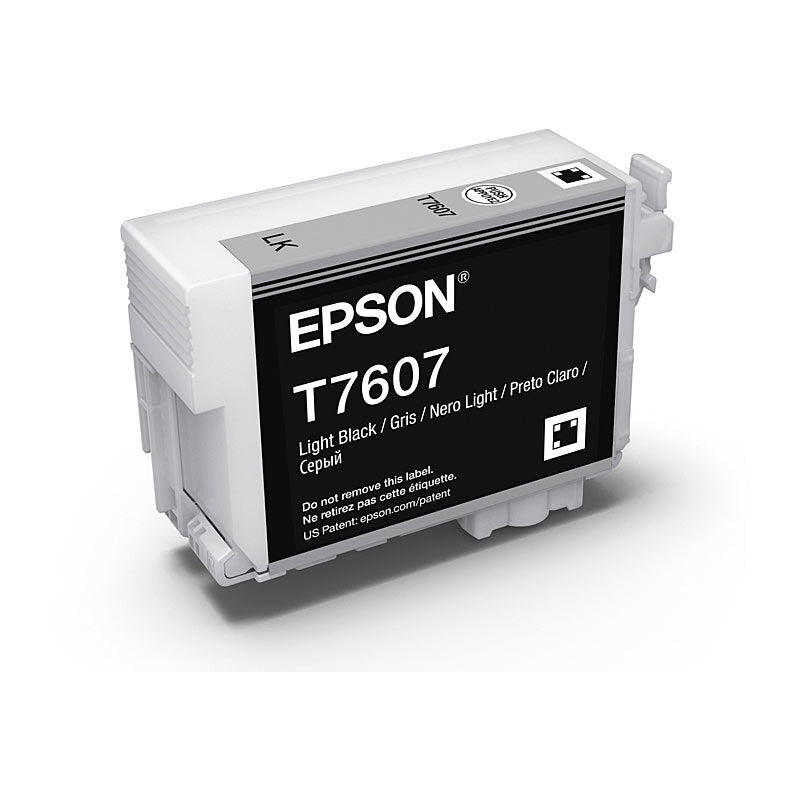 Epson 760 Light Black Ink Cart Epson