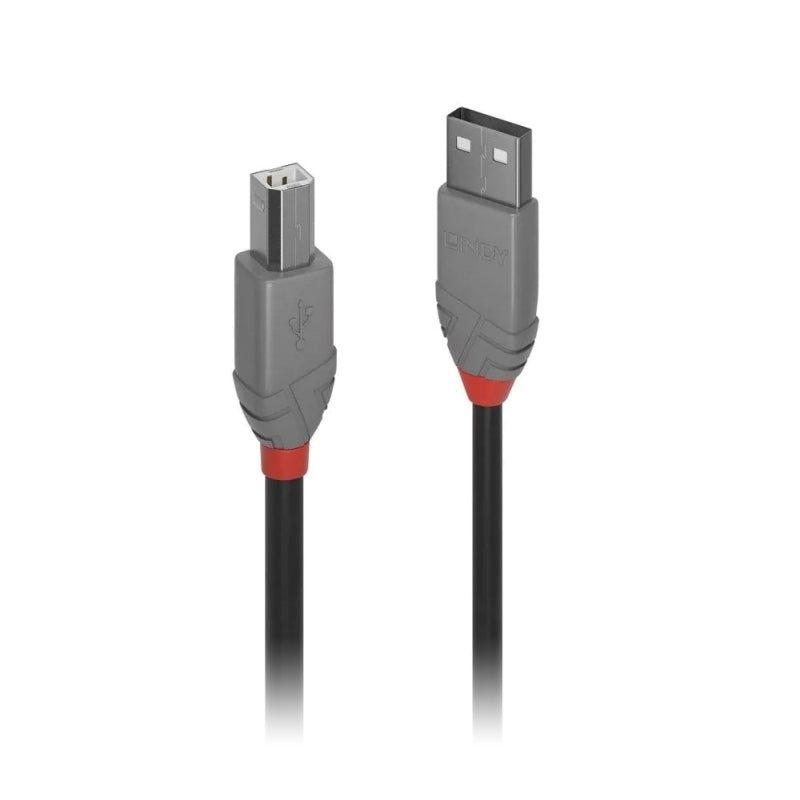 Lindy 10m USB 2 A to B Anthra Lindy