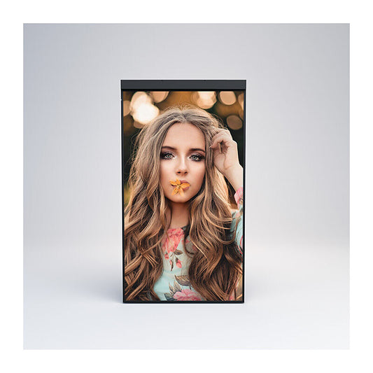 Mitsumaru 2500nit Window 55'' Mitsumaru