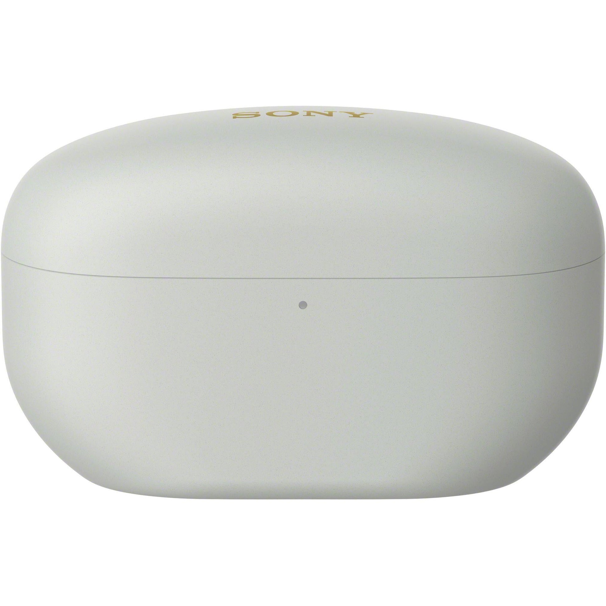 Silver WF-1000XM5 earbuds shown at side-angle highlighting earbud shape and charging case