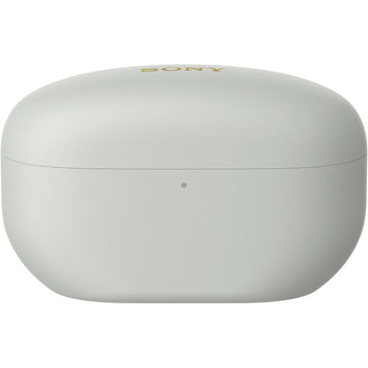 Silver WF-1000XM5 earbuds shown at side-angle highlighting earbud shape and charging case