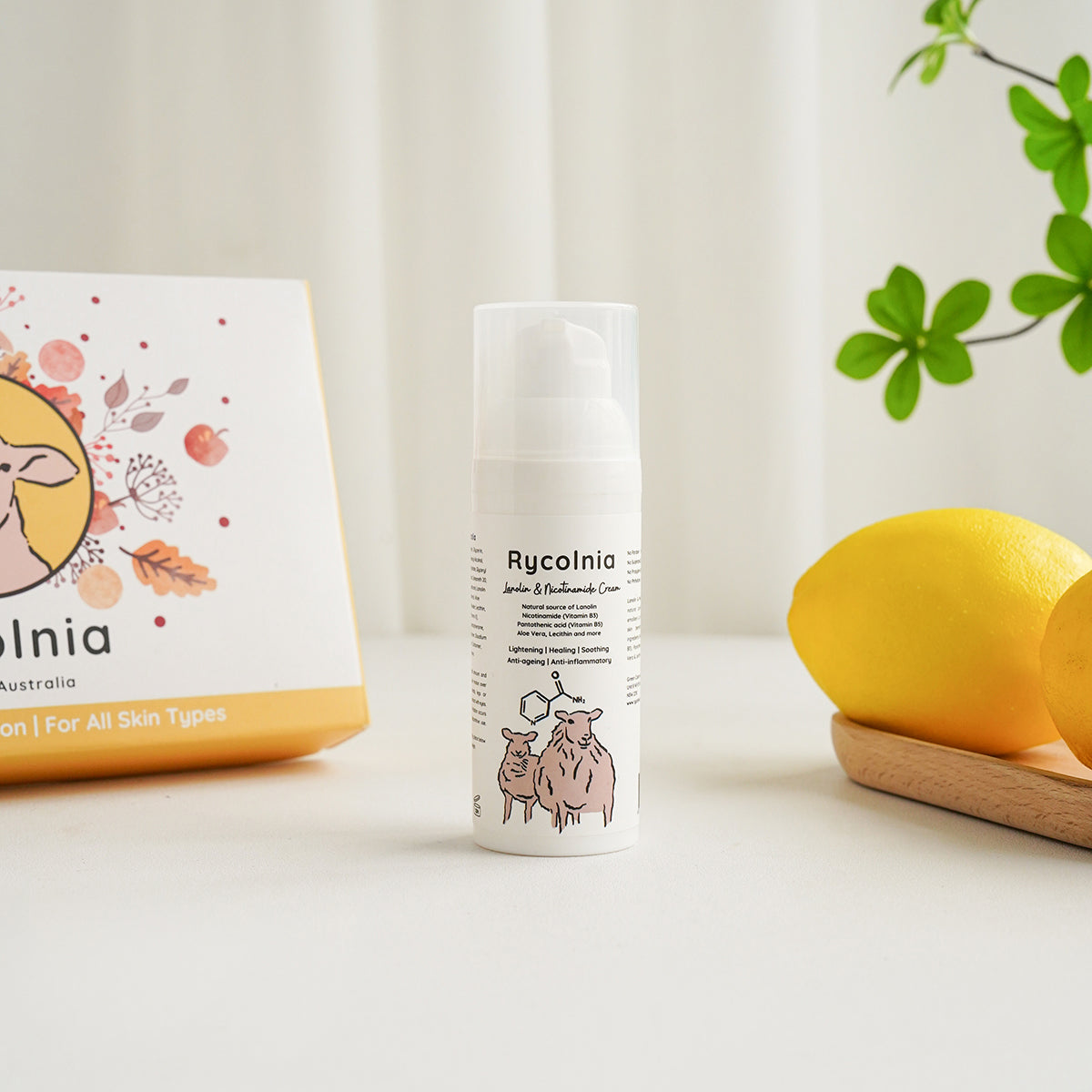 Rycolnia Lanolin & Nicotinamide Cream 50g Tristar Online