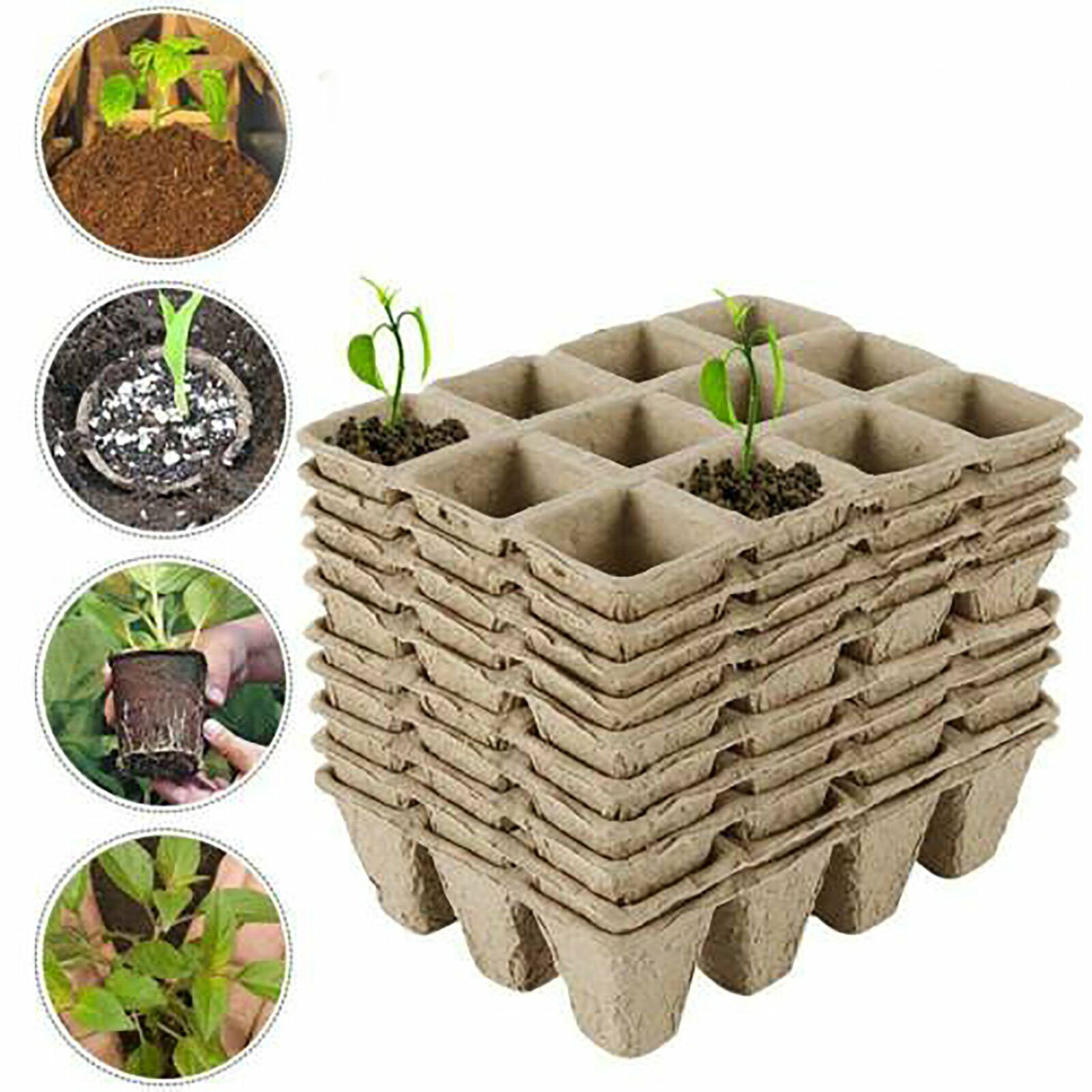 10pcs Biodegradable Seedling Trays 12-Hole Garden Starter Tristar Online