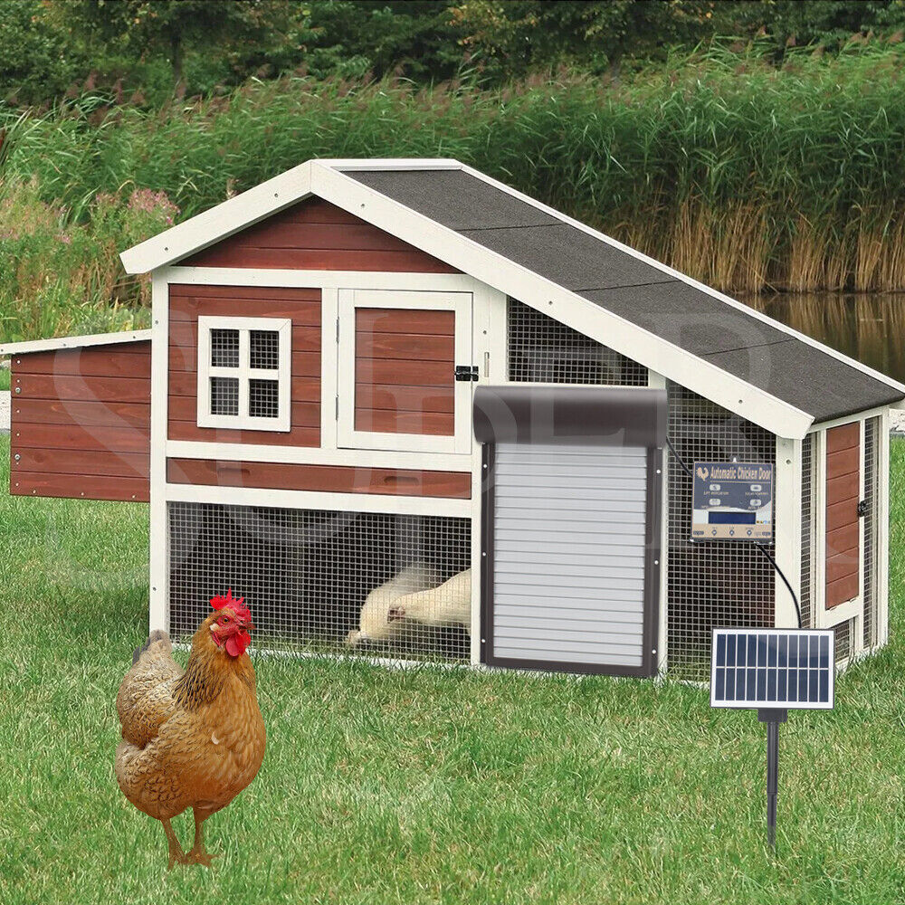 Automatic Chicken Coop Door Opener with Gate Light Sensor Remote Tristar Online