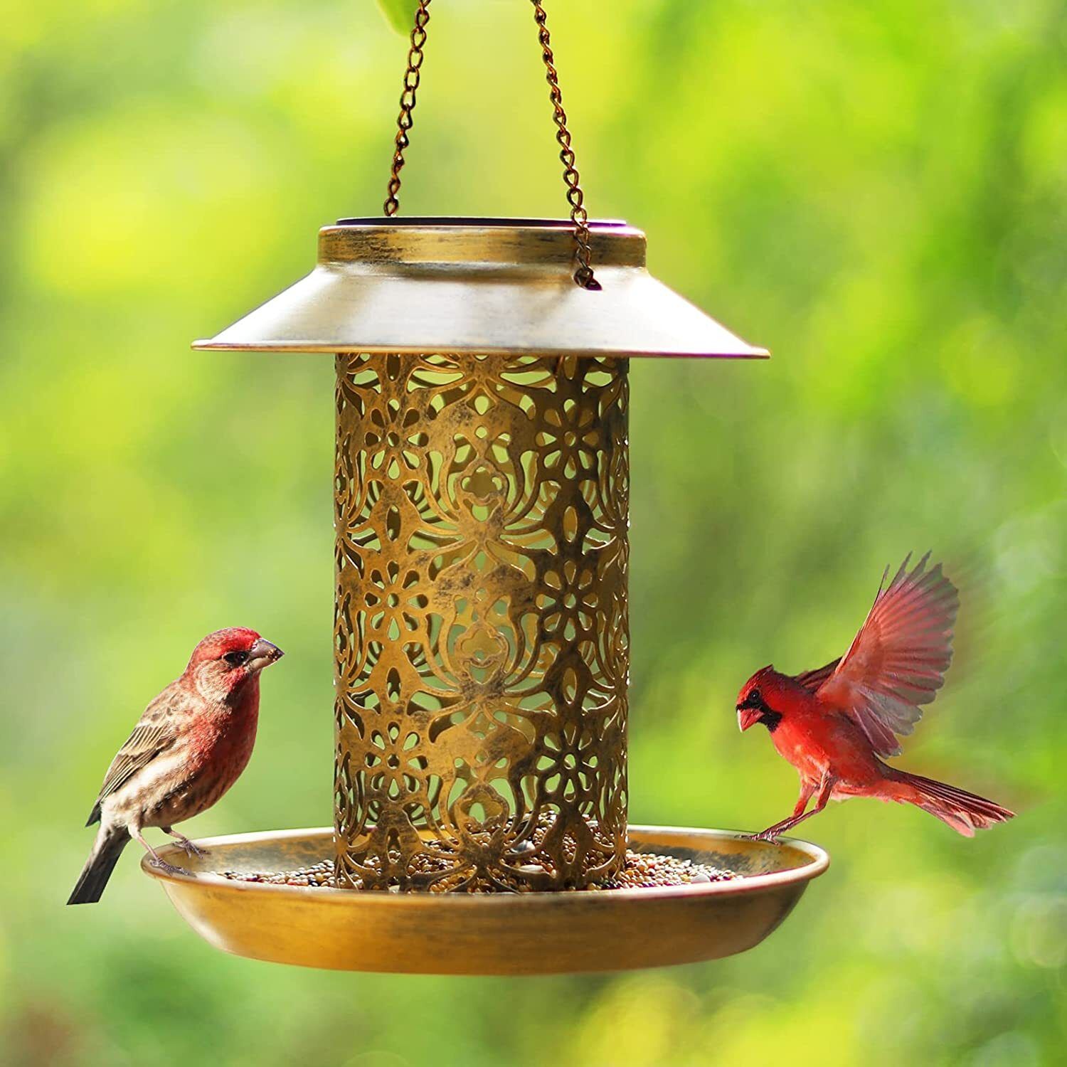 Solar Bird Seed Feeder Hanging Outdoor Garden Tristar Online