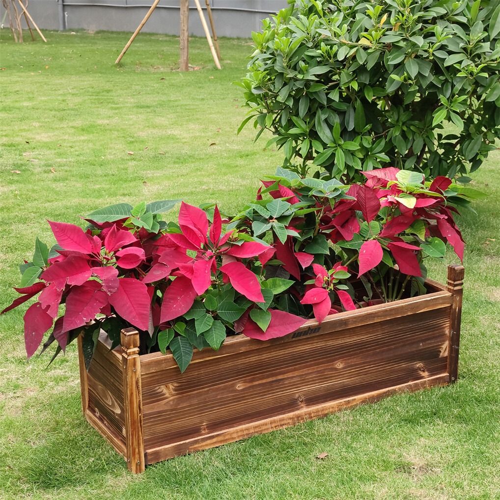 Large Raised Garden Bed Wooden Planter 90x30x33cm Tristar Online