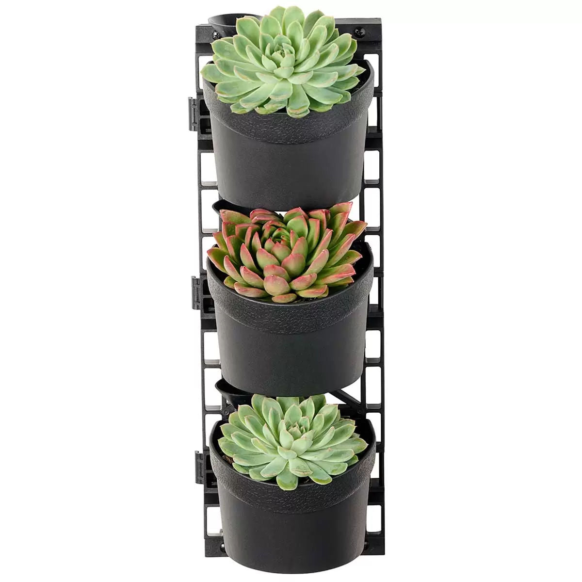 Tri vertical garden with 4 frames and 12 pots Tristar Online