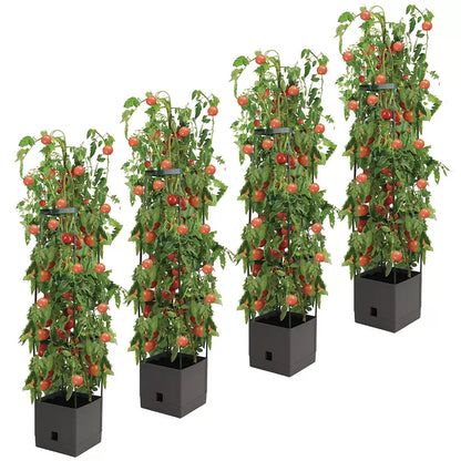 Tomato Tower With 3 Tier Frame 4 x Pack Tristar Online