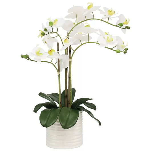 Artificial Orchid With Ribbed Pot 67cm Tristar Online