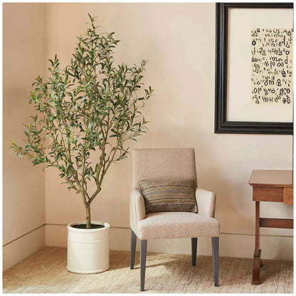 Artificial Olive Tree In French Crock Pot 2M Tristar Online