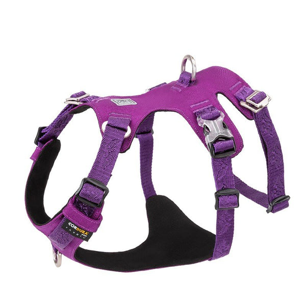 Whinhyepet Harness Purple 2XS