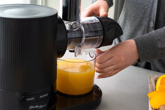 Cold Press Slow Juicer, 150W w/ 500ml Juice & Pulp Containers Tristar Online