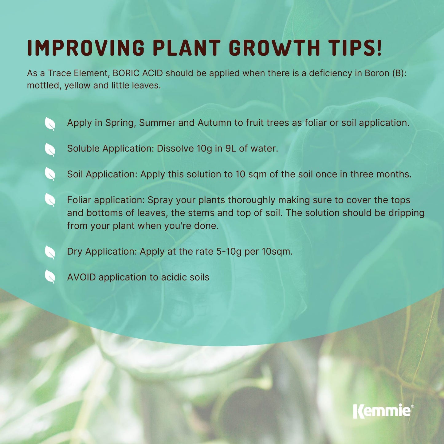 400g Boric Acid Powder 99.9% Pure - Soluble Orthoboric Acid H3BO3