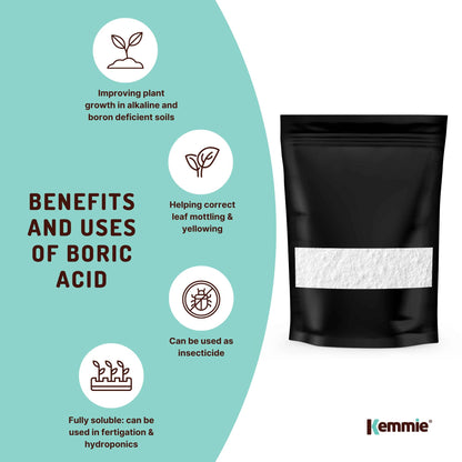 2Kg Boric Acid Powder High Purity Fully Soluble Granule Pest Ant Cockroaches