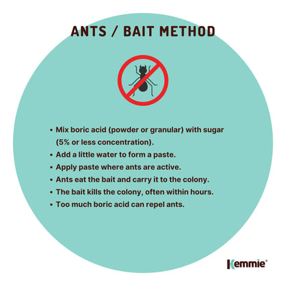 1Kg Boric Acid Powder Bucket 99.9% Pure Fully Soluble Granule Pest Ant Roaches