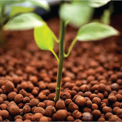 50L Hydro Clay Balls - Organic Premium Hydroponic Expanded Plant Growing Medium Tristar Online