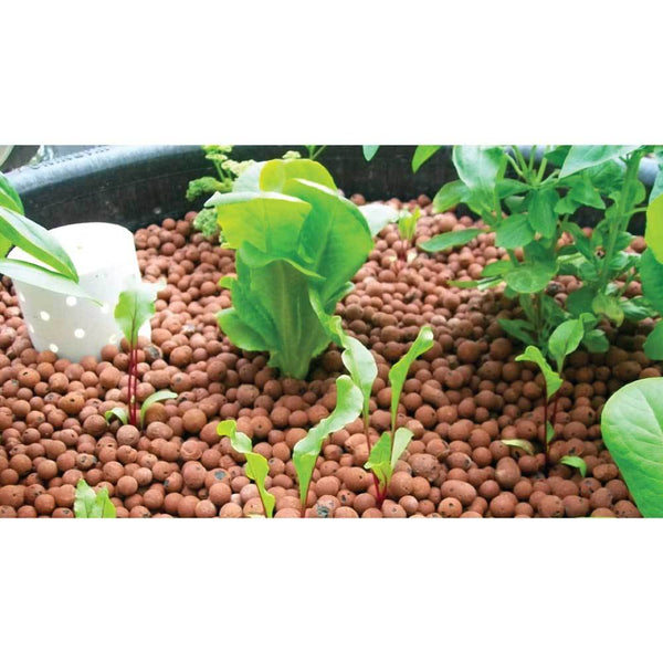 50L Hydro Clay Balls - Organic Premium Hydroponic Expanded Plant Growing Medium Tristar Online