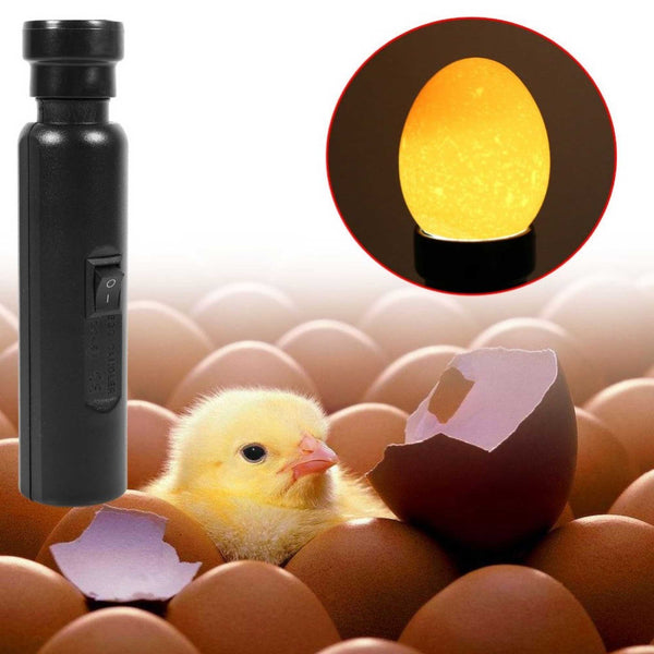 AU Plug Egg Candler Lamp - LED Cool Light Chicken Duck Quail Hatching Incubator Tristar Online