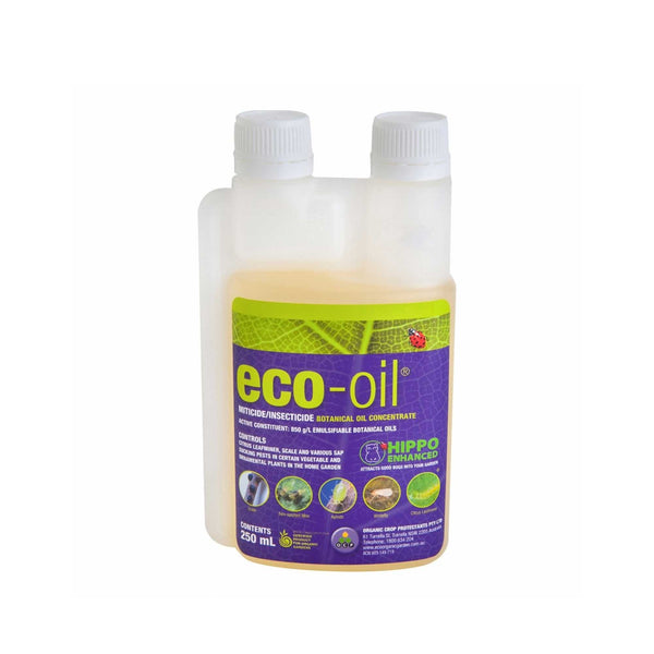 250ml Eco Pest Oil Organic Miticide Insecticide Botanical Plant Grub Concentrate Tristar Online