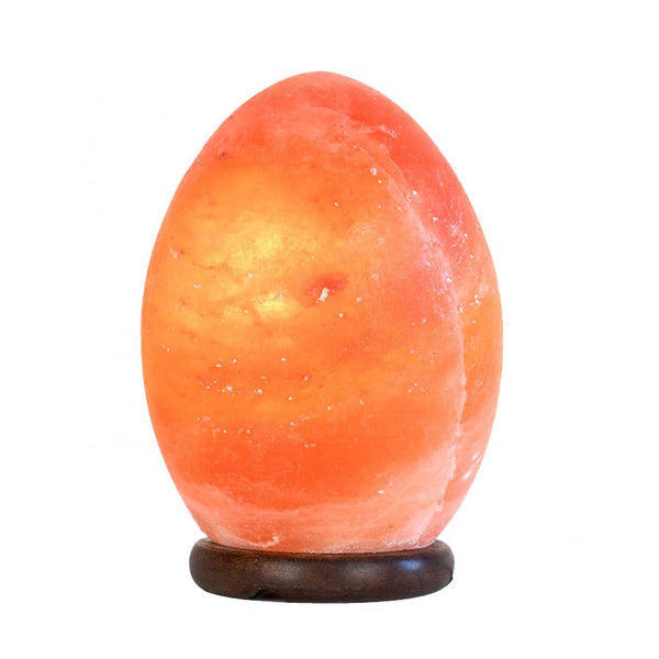 12V 12W Egg Himalayan Pink Salt Lamp Carved Rock Crystal Light Bulb On/Off Switch Tristar Online