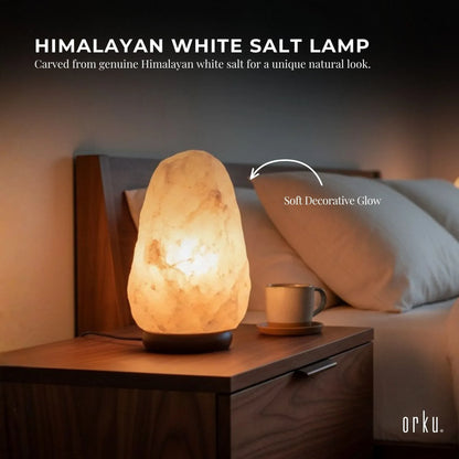 12V 12W 2-3Kg Himalayan White Salt Lamp Crystal Rock Natural Shape Unique Lamps