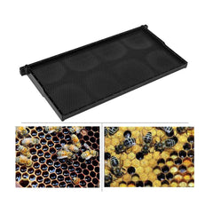 10x Beehive Plastic Frames Foundations Langstroth Bee Hive Deep Box Beekeeping Tristar Online