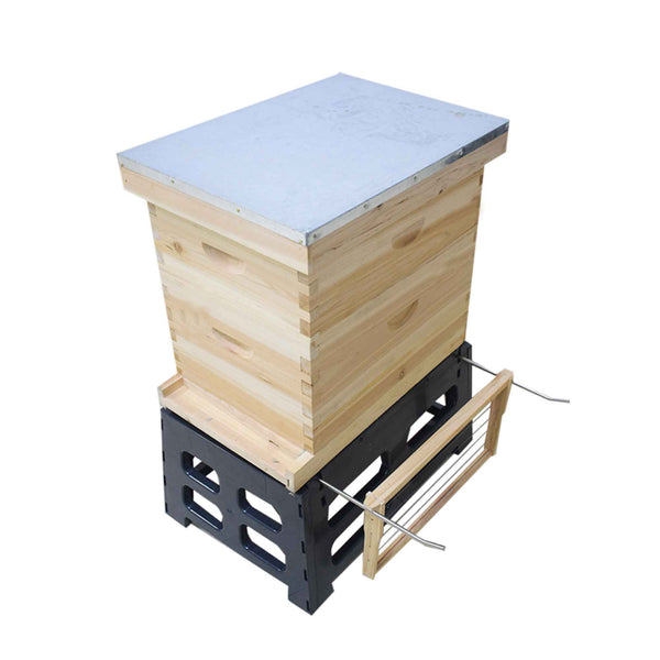 Plastic Beehive Stand 10 Frame Langstroth Bee Hive Base Ant Tool Beekeeping Tristar Online