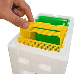 Mini Mating Box Queen Bee Rearing Plastic Styrene Foam Hive Harvest Copulation Tristar Online