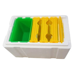 Mini Mating Box Queen Bee Rearing Plastic Styrene Foam Hive Harvest Copulation Tristar Online