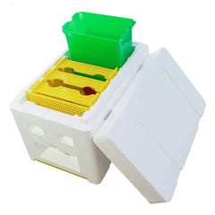 Mini Mating Box Queen Bee Rearing Plastic Styrene Foam Hive Harvest Copulation Tristar Online