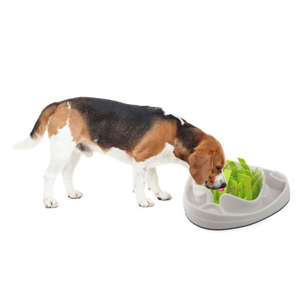 Dog Slow Feeder Bowl - Interactive Puzzle Anti Gulp Puppy Eating Maze AFP Pet Tristar Online