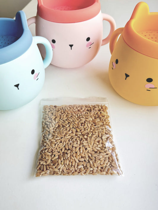 Whisker Wonderland Premium Cat Grass Seeds Refill - Hydroponic & Soil-Free Growing | Natural Digestion & Hairball Aid for Cats | Fresh & Nutritious Tristar Online