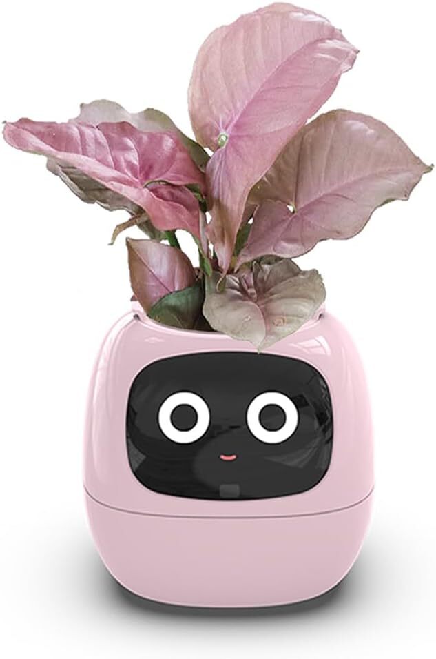 Intelligent Flower Pot, Electronic Bud, Maintenance Plant Assistant, Fun Interactive Flower Pot, Indoor Green Planting Monitoring, LCD Screen Display, Cell Phone APP Connection (Pink) Tristar Online
