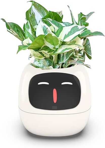 Intelligent Flower Pot, Electronic Bud, Maintenance Plant Assistant, Fun Interactive Flower Pot, Indoor Green Planting Monitoring, LCD Screen Display, Cell Phone APP Connection (White) Tristar Online